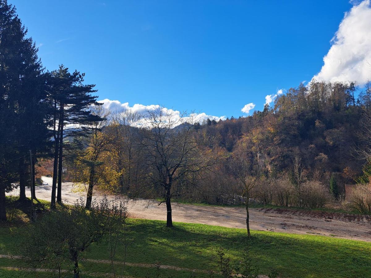 Greenriver Apartment Spodnje Gorje Экстерьер фото