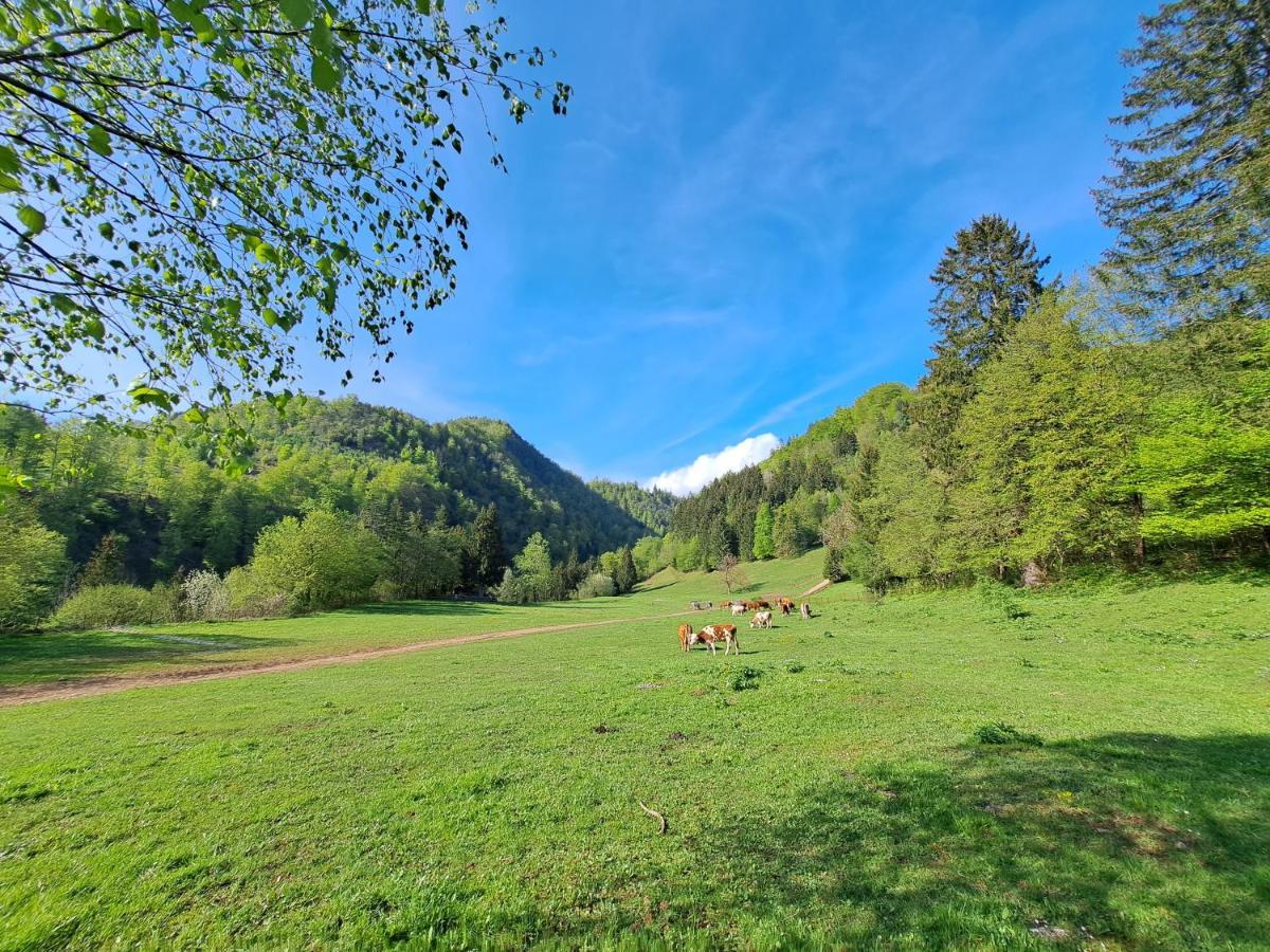 Greenriver Apartment Spodnje Gorje Экстерьер фото